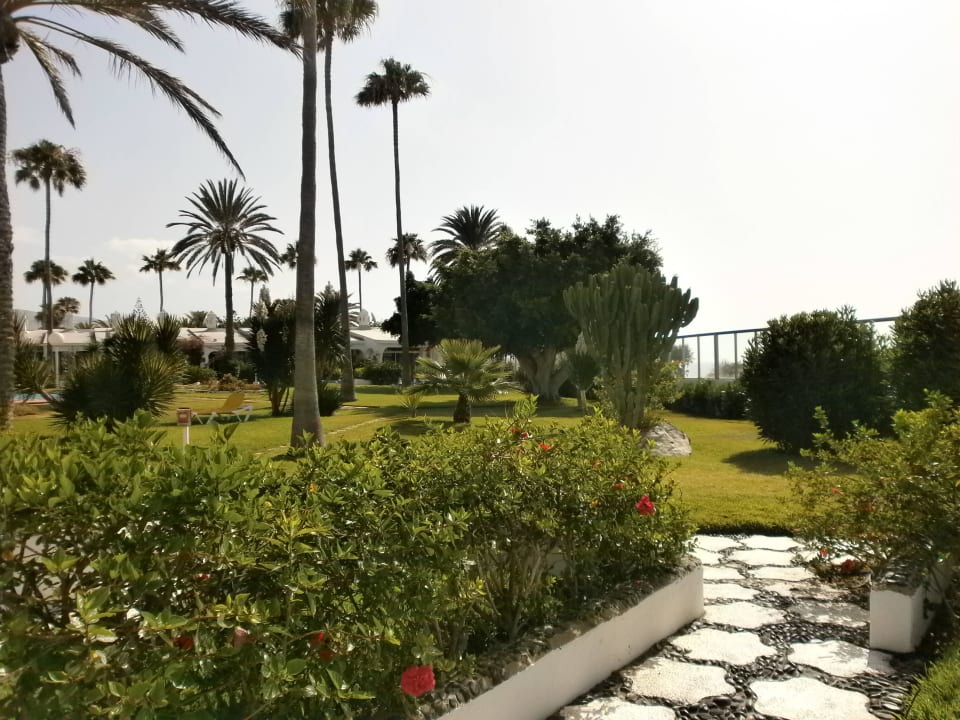 Blick von unserem Bungalow aus Sahara Beach Club