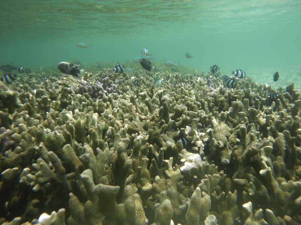 Sonstiges Adaaran Select Hudhuran Fushi - Premium All Inclusive