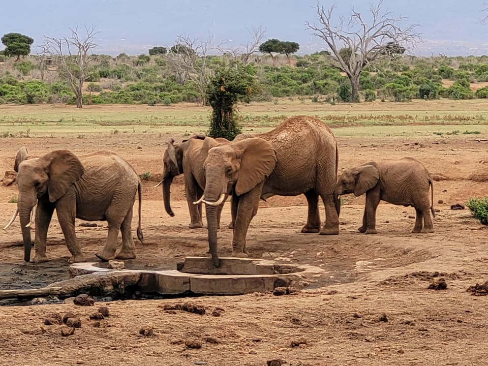 Sport & Freizeit Sentrim Tsavo Lodge