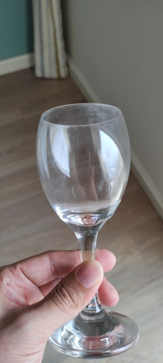 Zimmer Well Palace Side