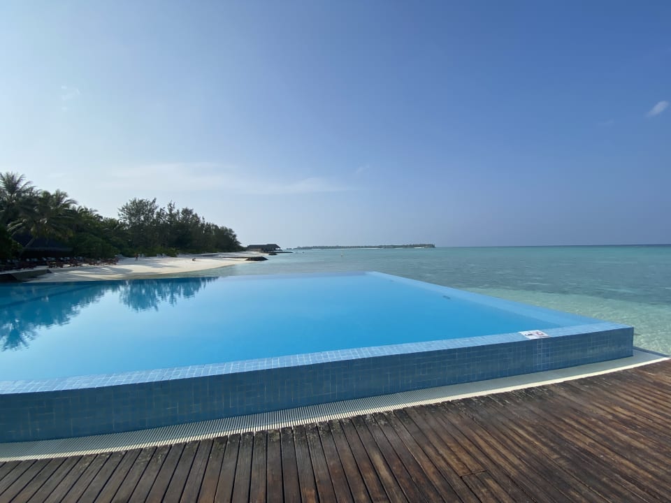 Pool Summer Island Maldives