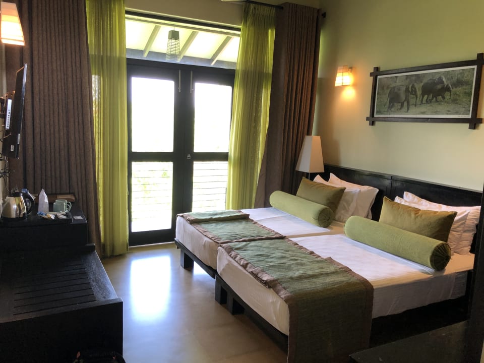 Zimmer Oak Ray Wild Yala