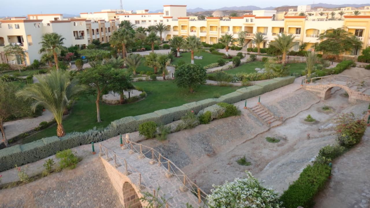 Ogród Blue Reef Red Sea Resort