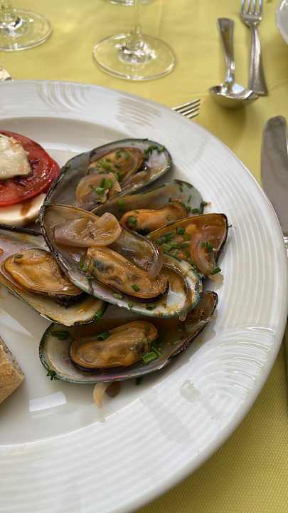 Gastro Seaside Hotel Palm Beach