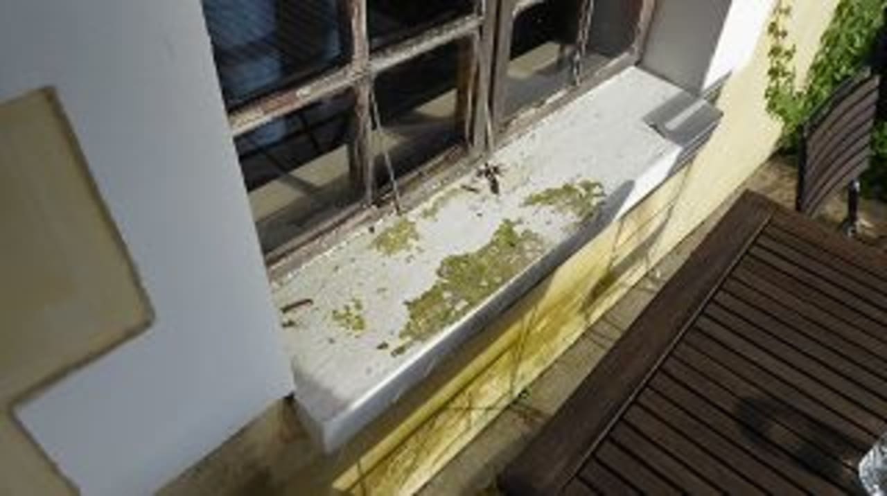 Zimmer Guesthouse The Thorntree Country House