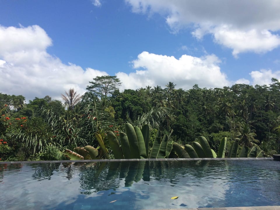 Bester Pool Hotel Alam Ubud, Culture Villas And Residences