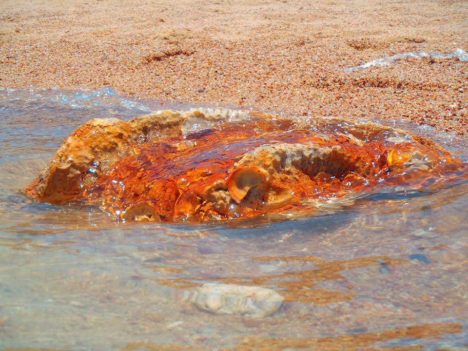 Da lebt noch so einiges... Titanic Beach Spa & Aqua Park