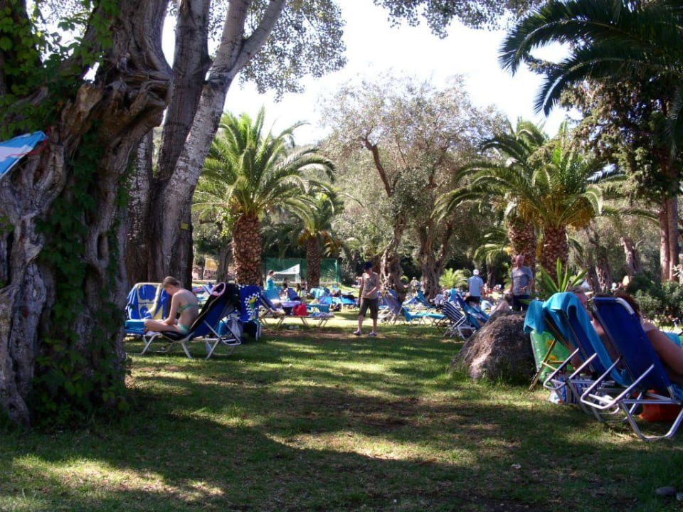 liegewiese Grecotel LUXME Daphnila Bay