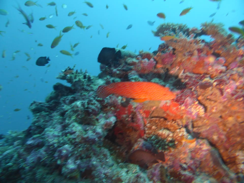 Sport & Freizeit Mirihi Island Resort