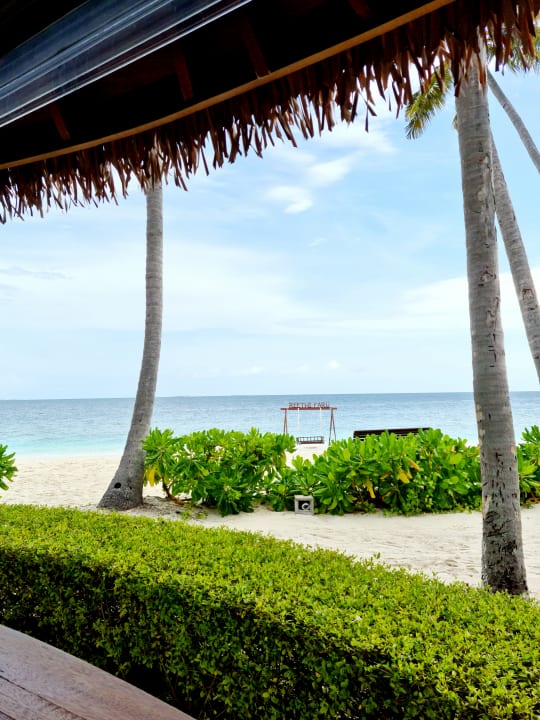 Ausblick Reethi Faru Resort