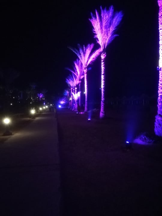 Gartenanlage Steigenberger Coraya Beach - Adults only