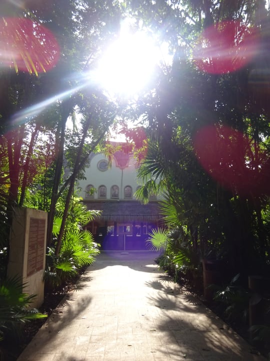 Gartenanlage Catalonia Playa Maroma