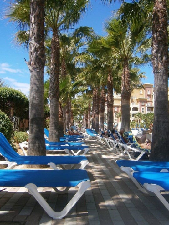 Wokół basenu Playacanela Hotel