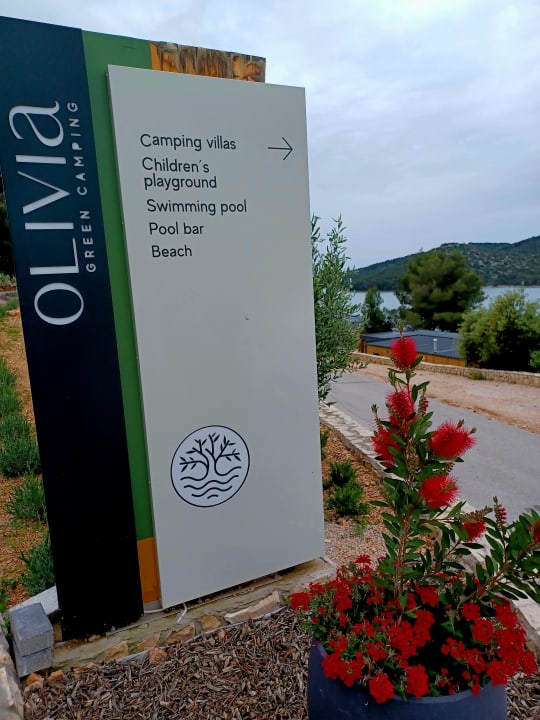 Sonstiges Olivia Green Camping