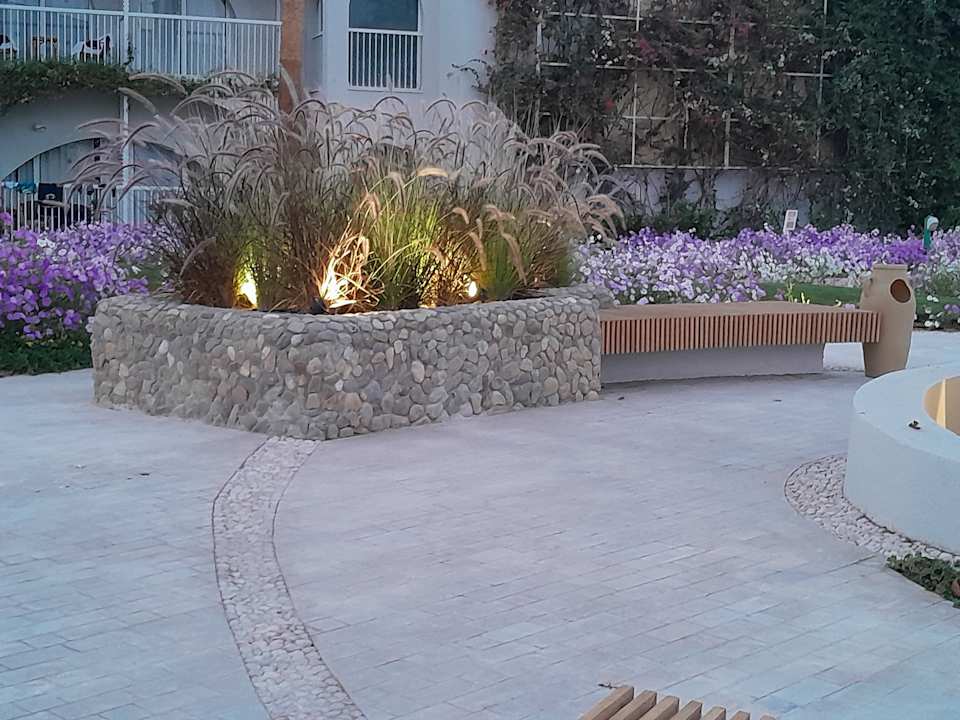 Gartenanlage Desert Rose