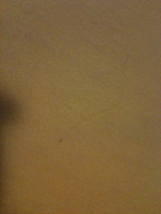 Haare Unterbett B&B HOTEL Mannheim-City