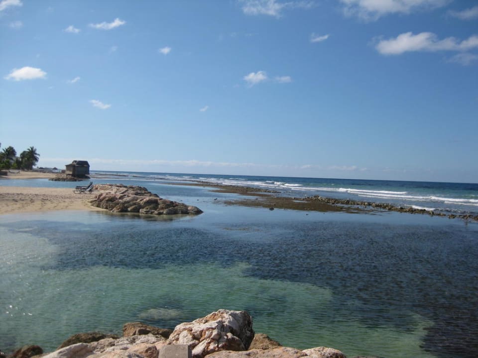 Seegras aber ein kleines Plätzchen findet man doch Half Moon
