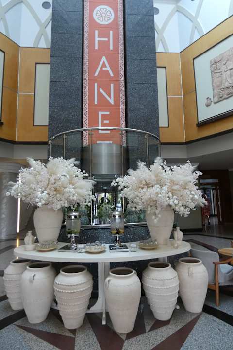 Lobby Hane Family Resort