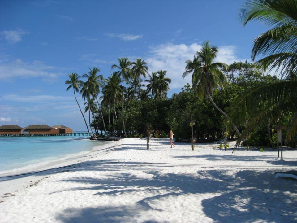Der Strand davor Meeru Maldives Resort Island