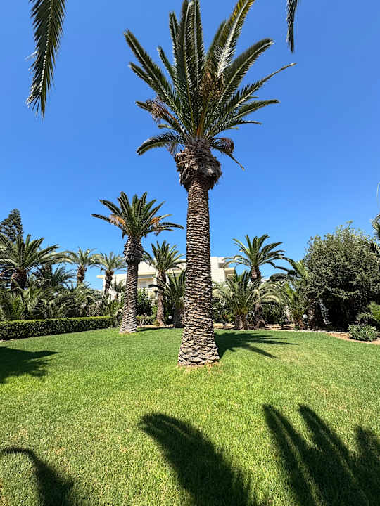 Gartenanlage Hotel Gorgona