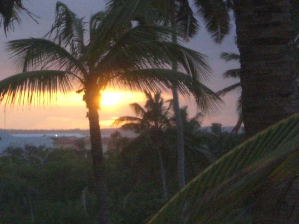 Wunderschöner Sonnenuntergang (Sicht aus Zimmer) Hotel Riu Palace Punta Cana