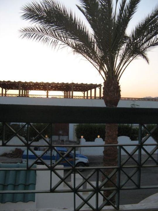 Widok z pokoju Hotel Falcon Hills