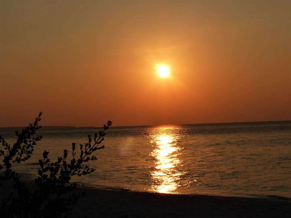 Ausblick NH Collection Maldives Reethi Resort