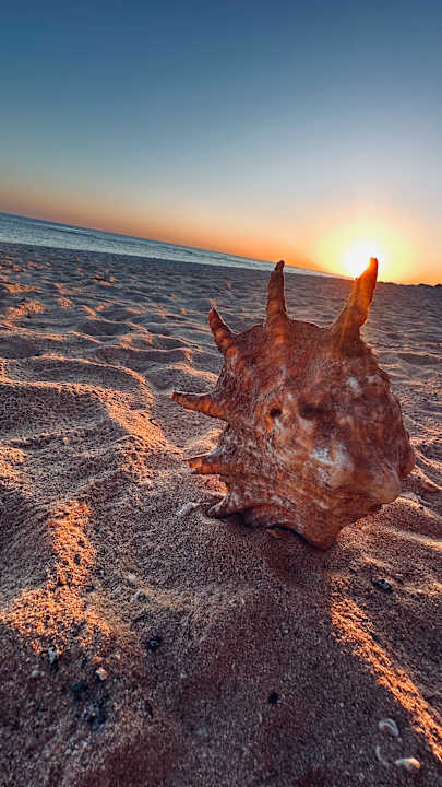 Strand Beach Safari Nubian Resort