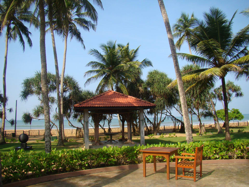 Garten  Royal Palms Beach Hotel