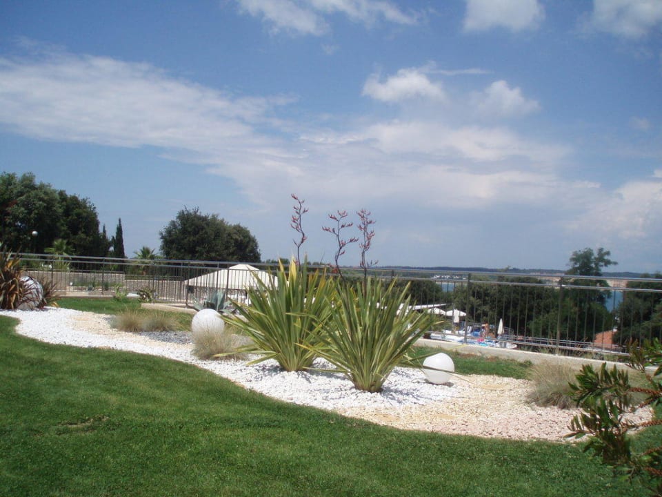 Über den Pool Valamar Tamaris Hotel