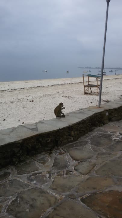 Strand Hotel Kenya Bay Beach