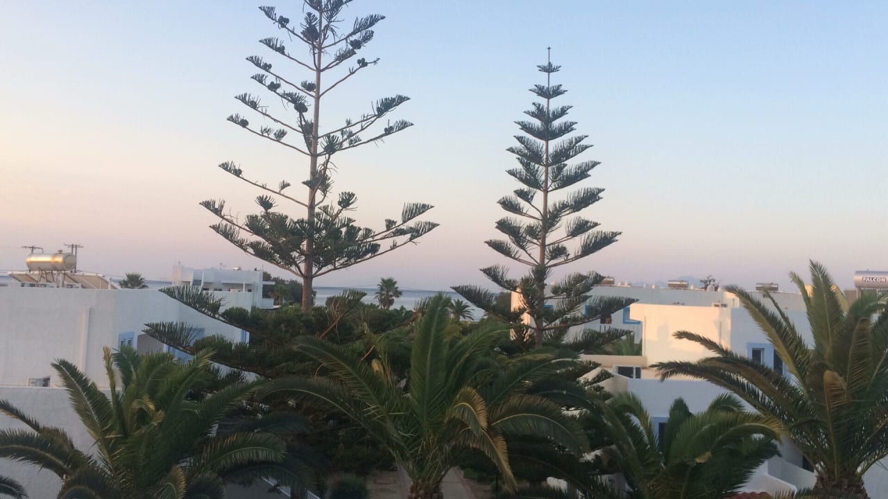 Ausblick Kalimera Mare