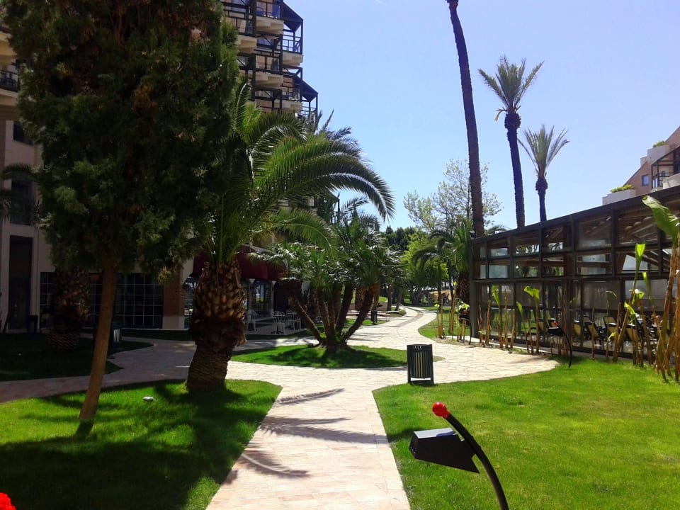 Территория Viking Park