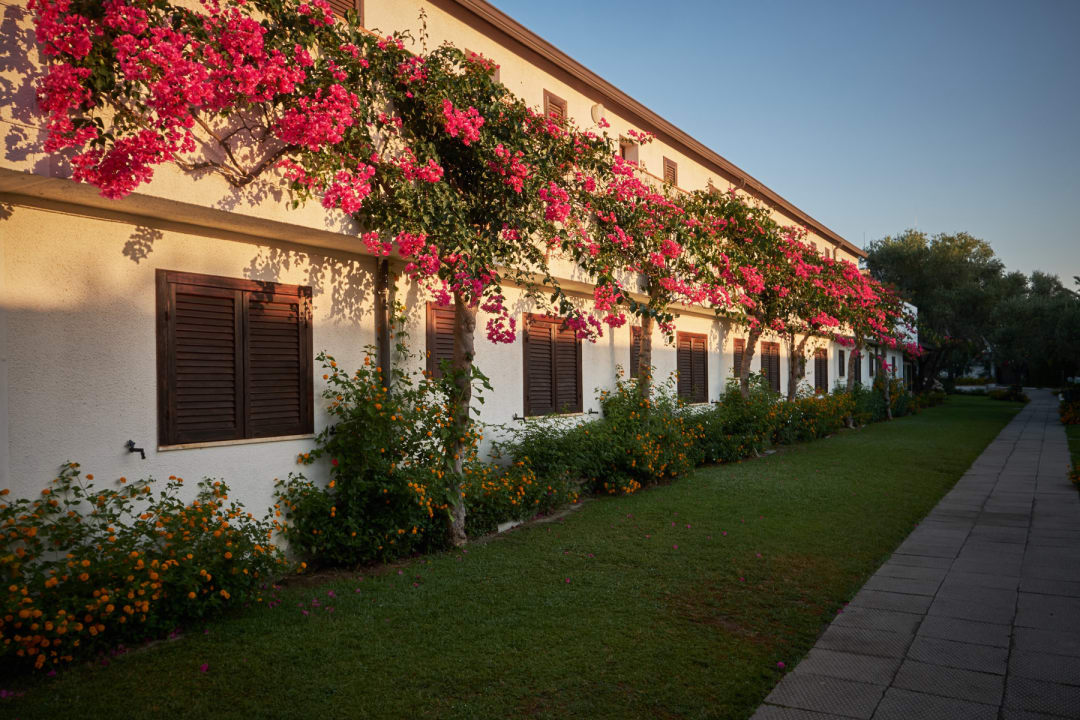 Außenansicht Nausicaa Village