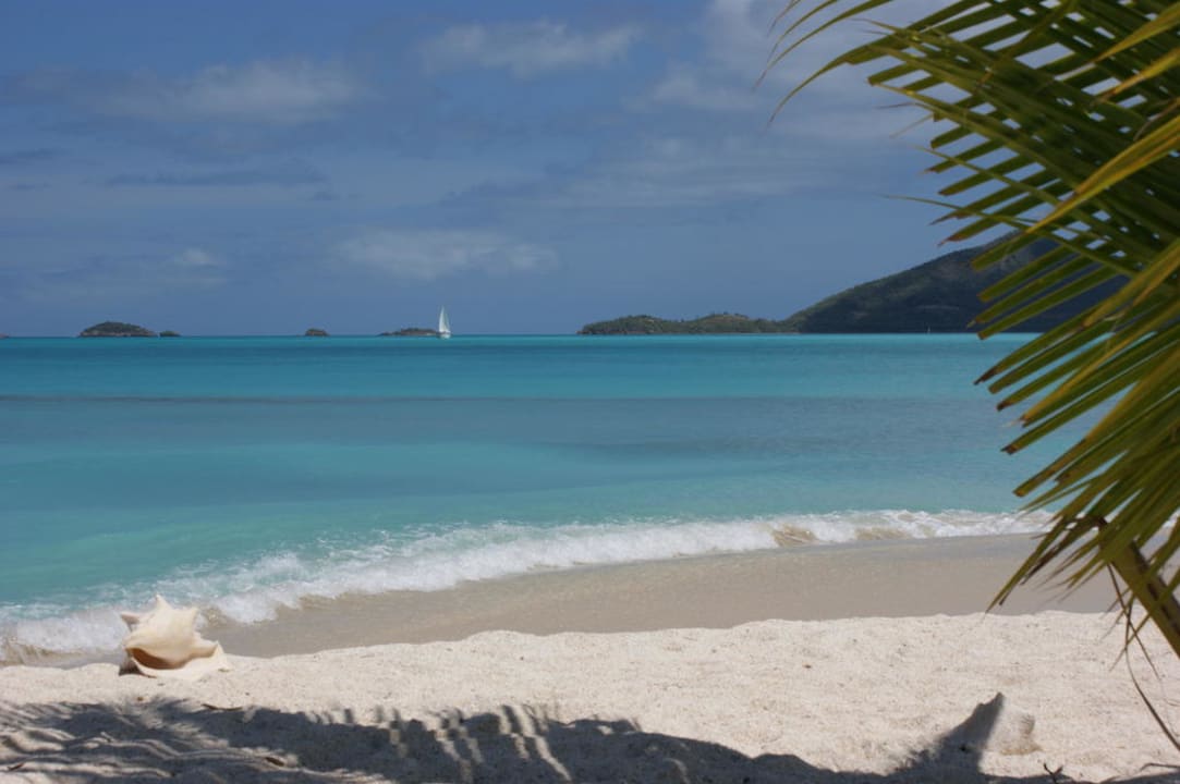 Ausblick von der Strandliege Cocobay Resort Antigua - Adults only