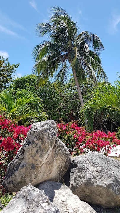 Gartenanlage Hotel Sol Cayo Santa Maria