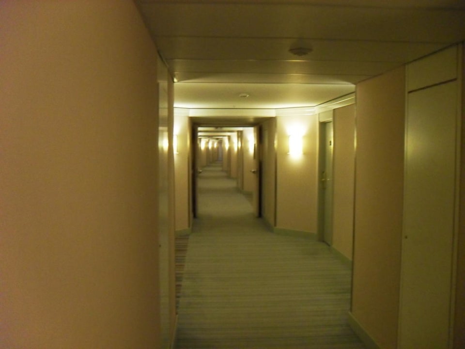 Weite Wege Hilton Dresden