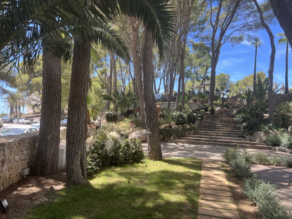 Gartenanlage allsun Hotel Bella Paguera