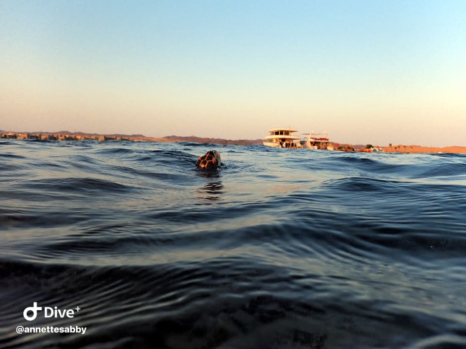 Strand Three Corners Equinox Beach Resort