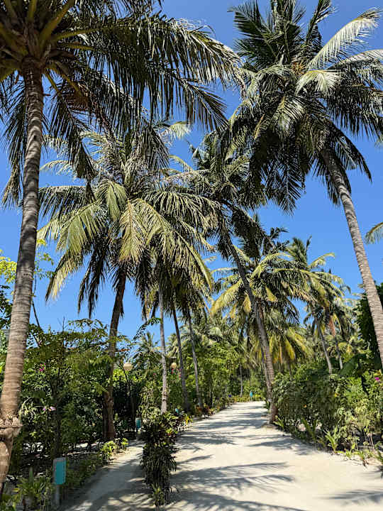 Gartenanlage Furaveri Maldives
