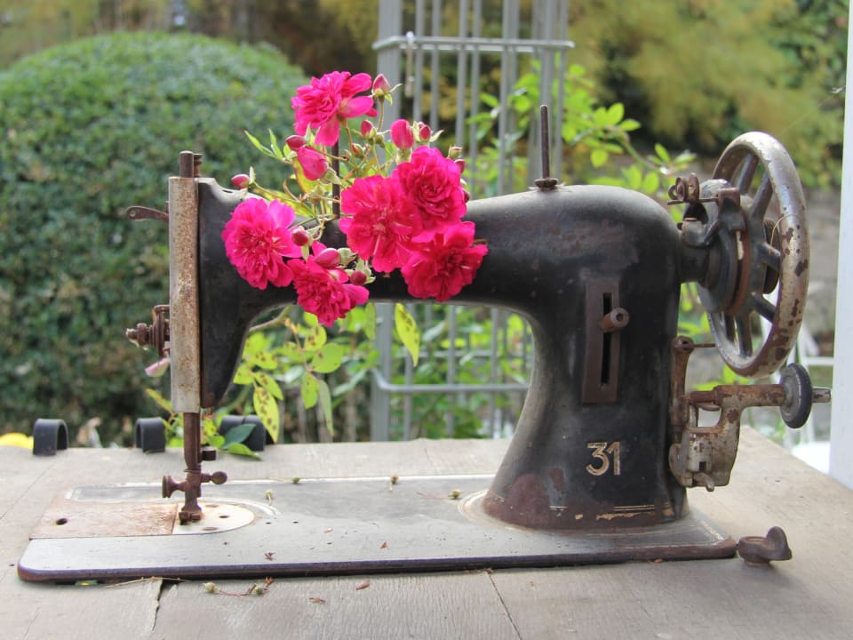 Gartenanlage Gästehaus No. 31 im Rosengarten