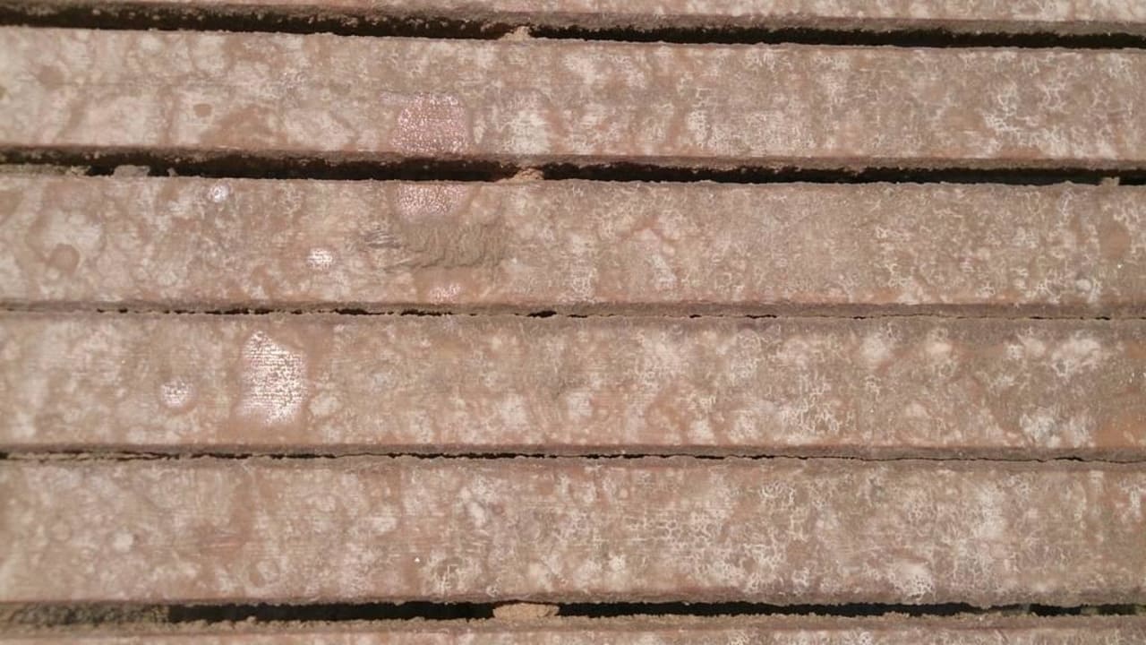 Bitte nicht ausrutschen Serenity Alpha Beach