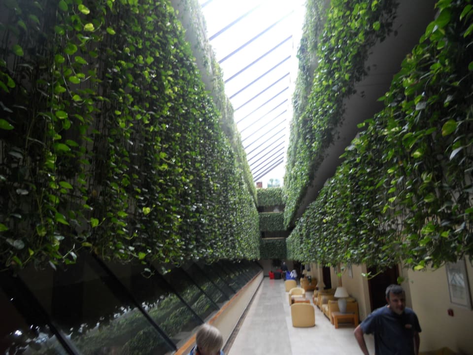 Corridoio Alexandre Hotel Gala