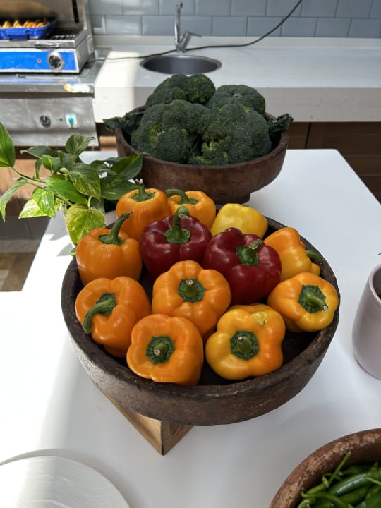 Gastro Lara Barut Collection