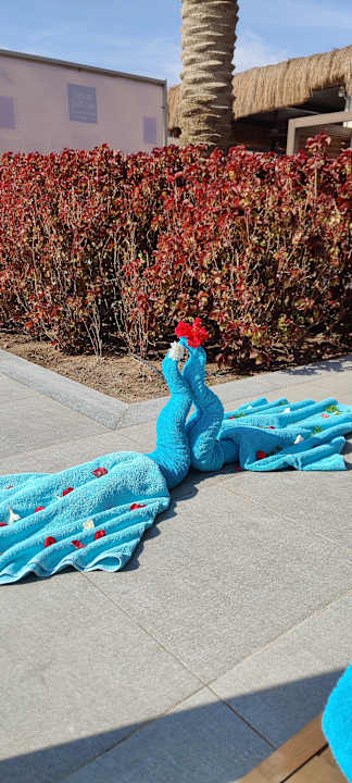 Pool Steigenberger Resort Ras Soma