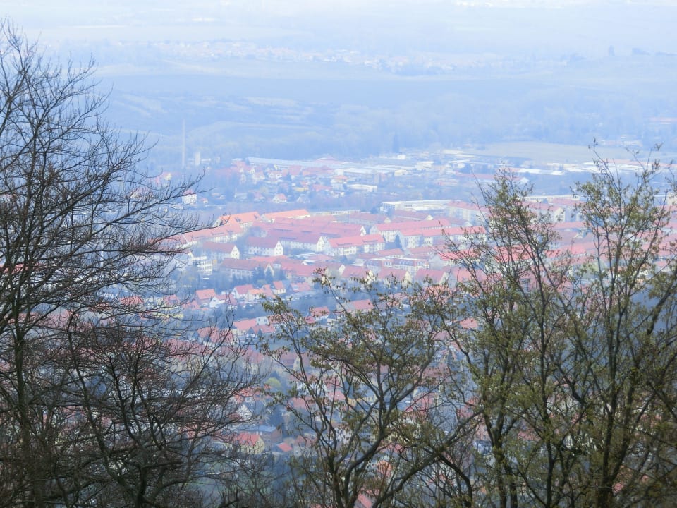 Thale Gasthof zum Bären