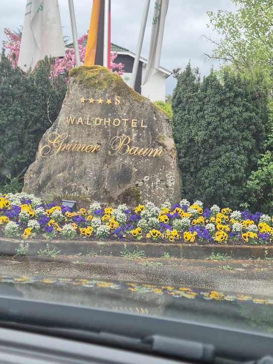 Gartenanlage Waldhotel Grüner Baum