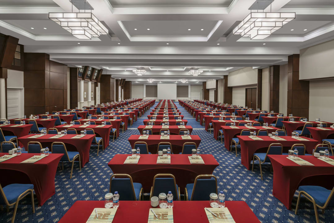 Sonstiges Papillon Ayscha