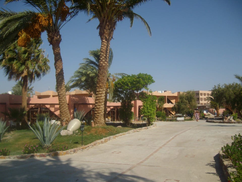 Schöne,gepflegte Anlage Eagles Paradise Abu Soma