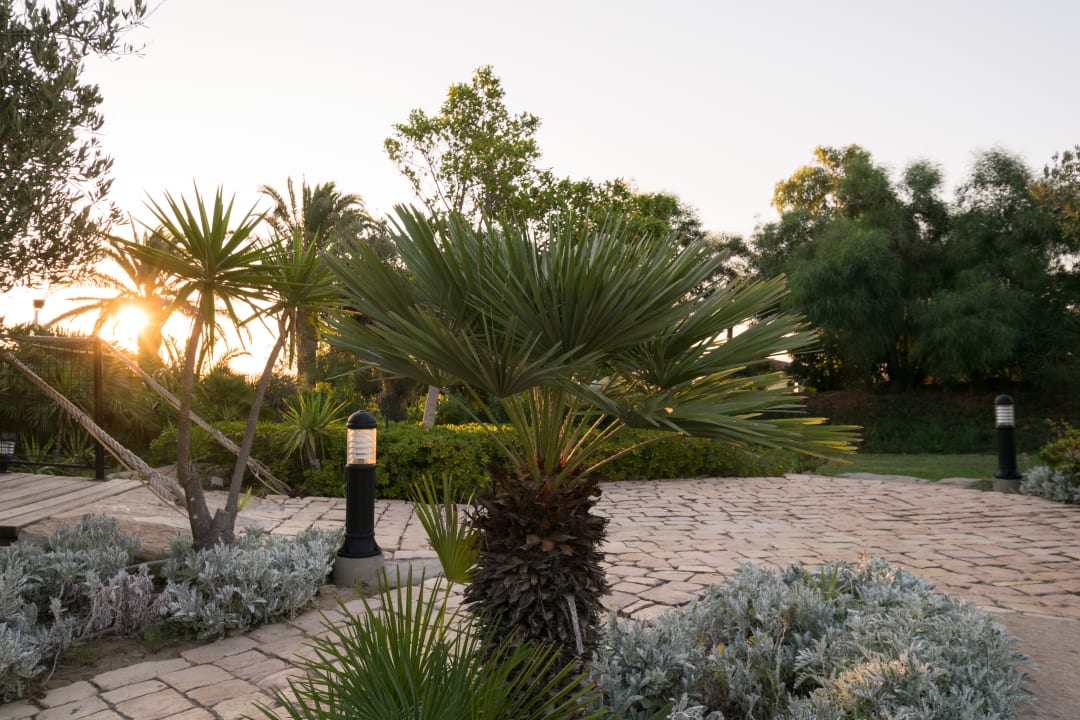 Gartenanlage TUI MAGIC LIFE Africana